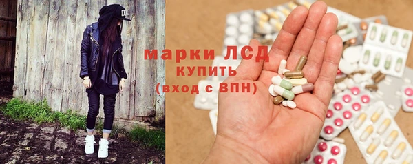 apvp Алзамай