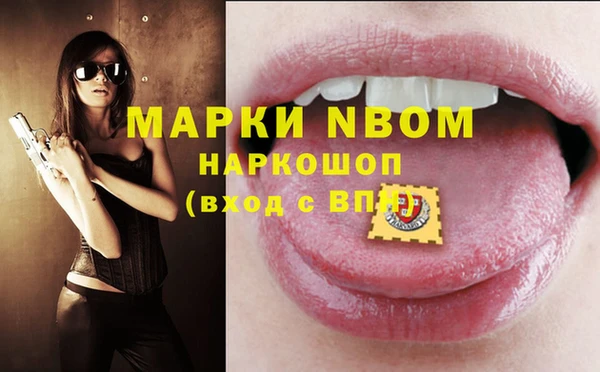 apvp Алзамай